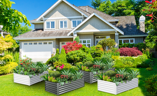 Anleolife Garden View: Best Plants to Grow in Your Metal Raised Garden Bed during Fall and Winter