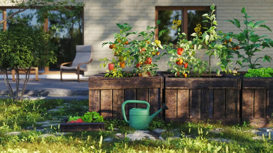 Protect Your Raised Bed from Pests