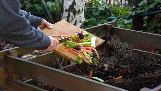 Get to Learn Composting in A Raised Garden Bed as Beginners