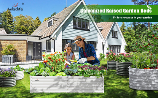 Anleolife Garden View: How To Decide A Best Location       For Your Raised Garden Bed
