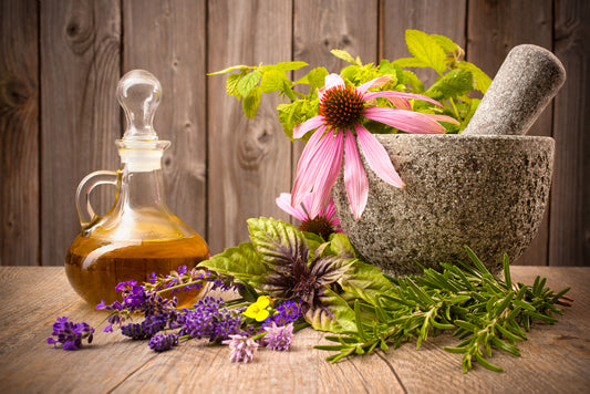 Anleolife Garden View: So Wonderful to Grow Herbs in Raised Beds for Gardeners(II)