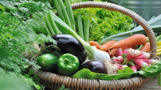 7 Best Vegetables for Raised Garden Beds