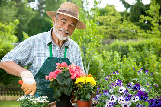 Anleolife Garden View: How to Build a Raised Garden Bed & Garden Boxes?