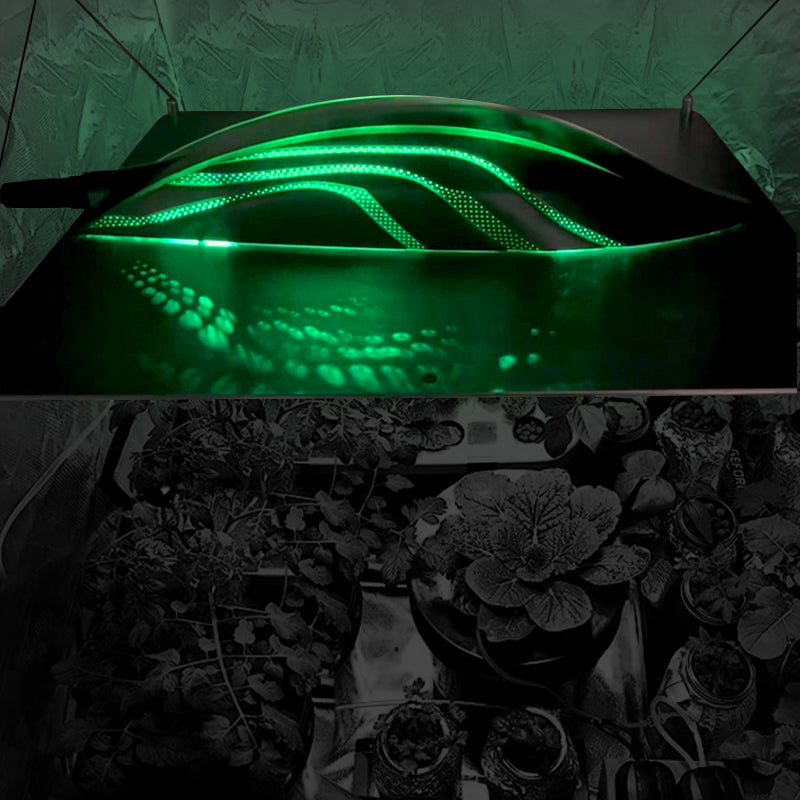 Anleolife LED Quantum Board Grow Lamp 320W