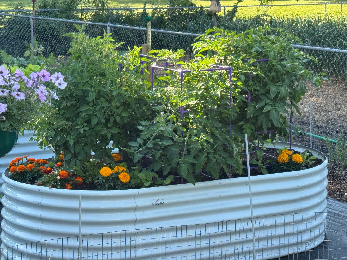 Set of 6: 8x4x2ft Oval Modular Metal Raised Garden Beds (White)