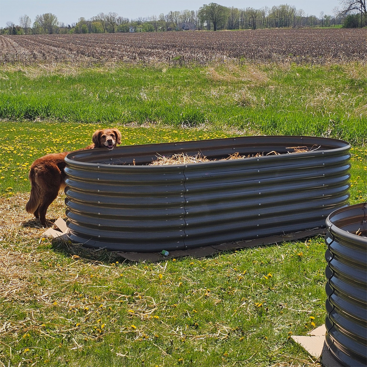 Set of 6: 6x3x2ft Oval Galvanized Metal Raised Garden Beds (Grey)