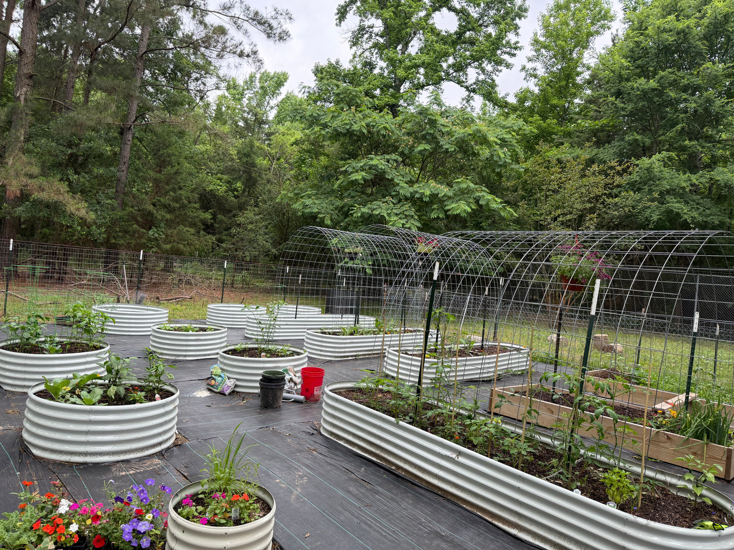 Set of 5: 12x3x1.5ft Oval and 4x1.5ft Round Modular Metal Raised Garden Beds