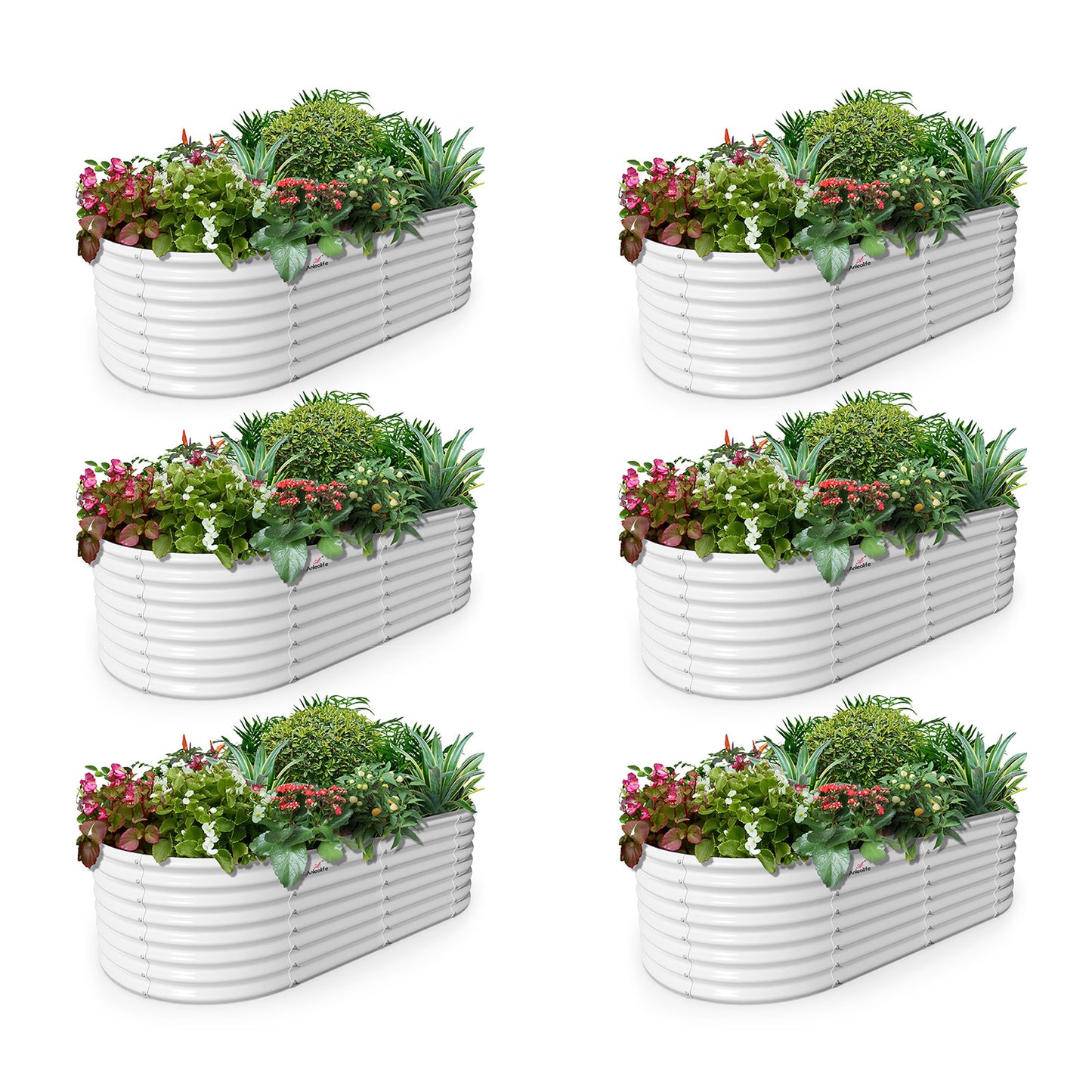Set of 6: 6x3x2ft Oval Metal Raised Garden Beds (White)