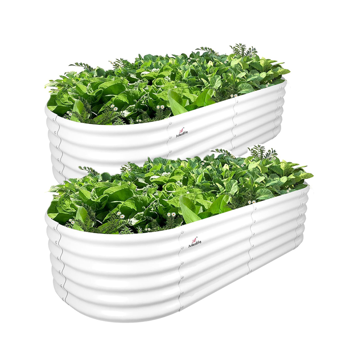 6x2x1.5ft Oval Metal Raised Modular Garden Bed (Gray/White)