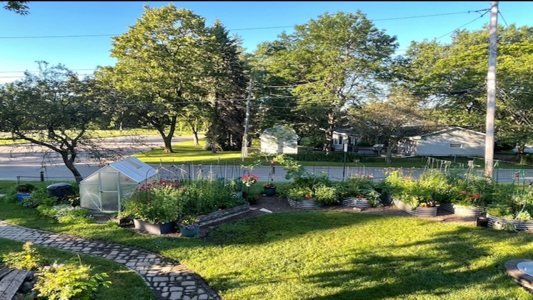 A lush garden with various plants, a greenhouse, and a stone pathway.
