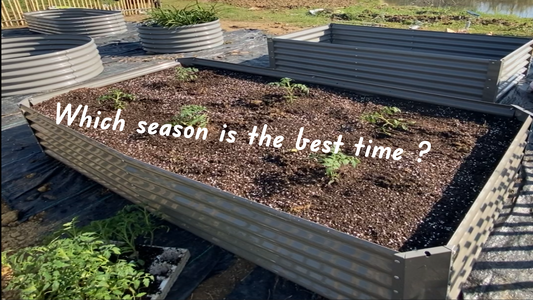 Which season is the best time to start a raised bed garden