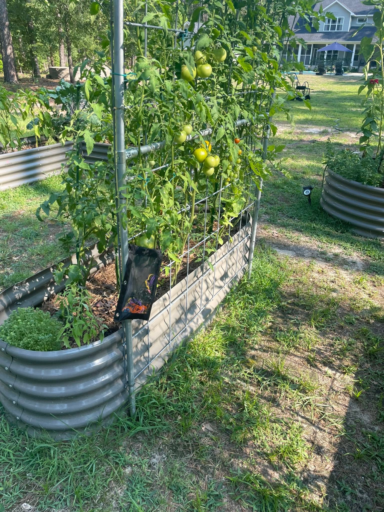 What Size Raised Garden Bed Should You Choose? A Complete Guide for 2026