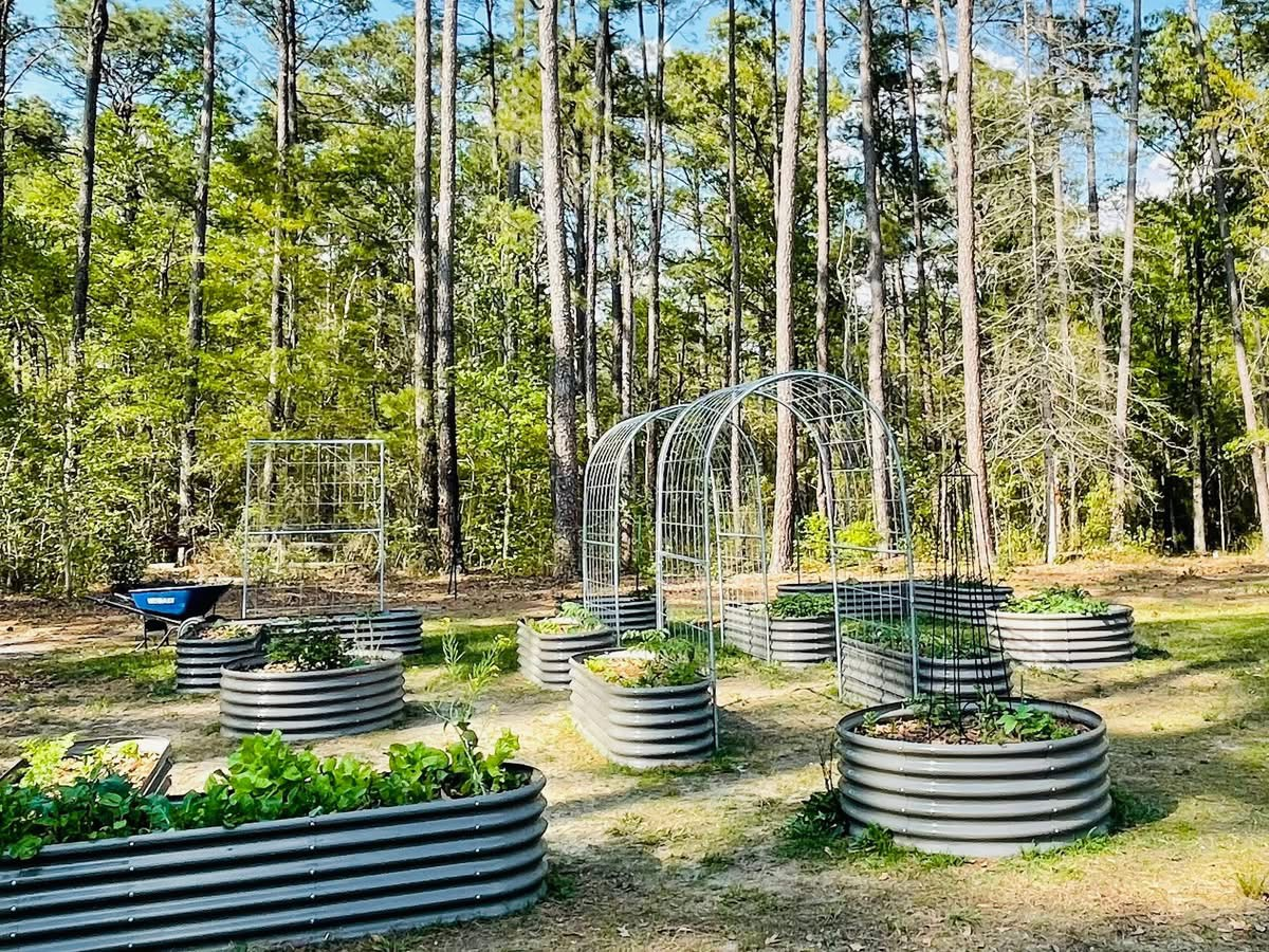 Small Garden? How to Maximize Space with Oval & Round Raised Beds
