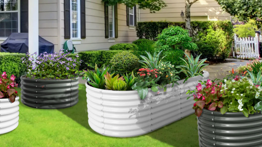 What Is the Best Shape for a Garden Bed?