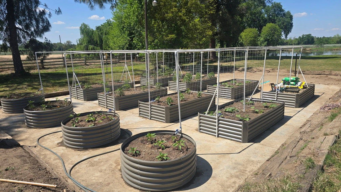 Ultimate Guide to Watering Your Raised Garden Bed