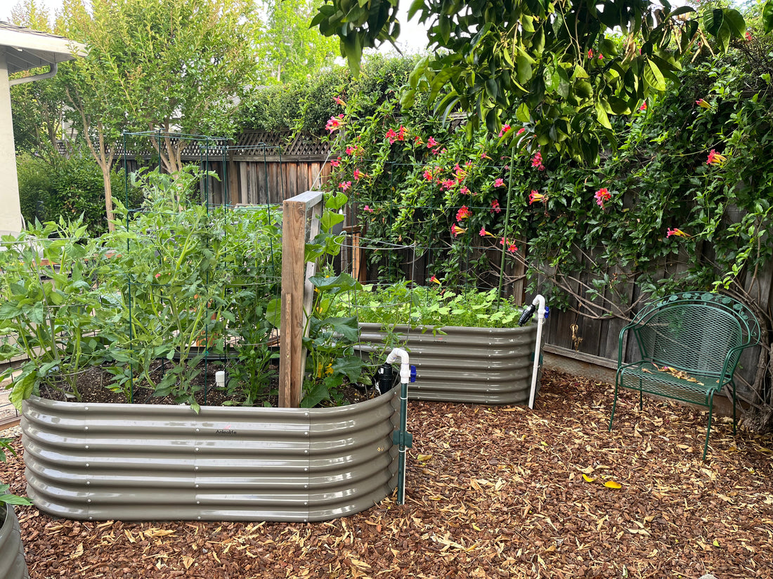 Pest-Repelling Plants Making Your Raised Bed Gardening Away from Pests