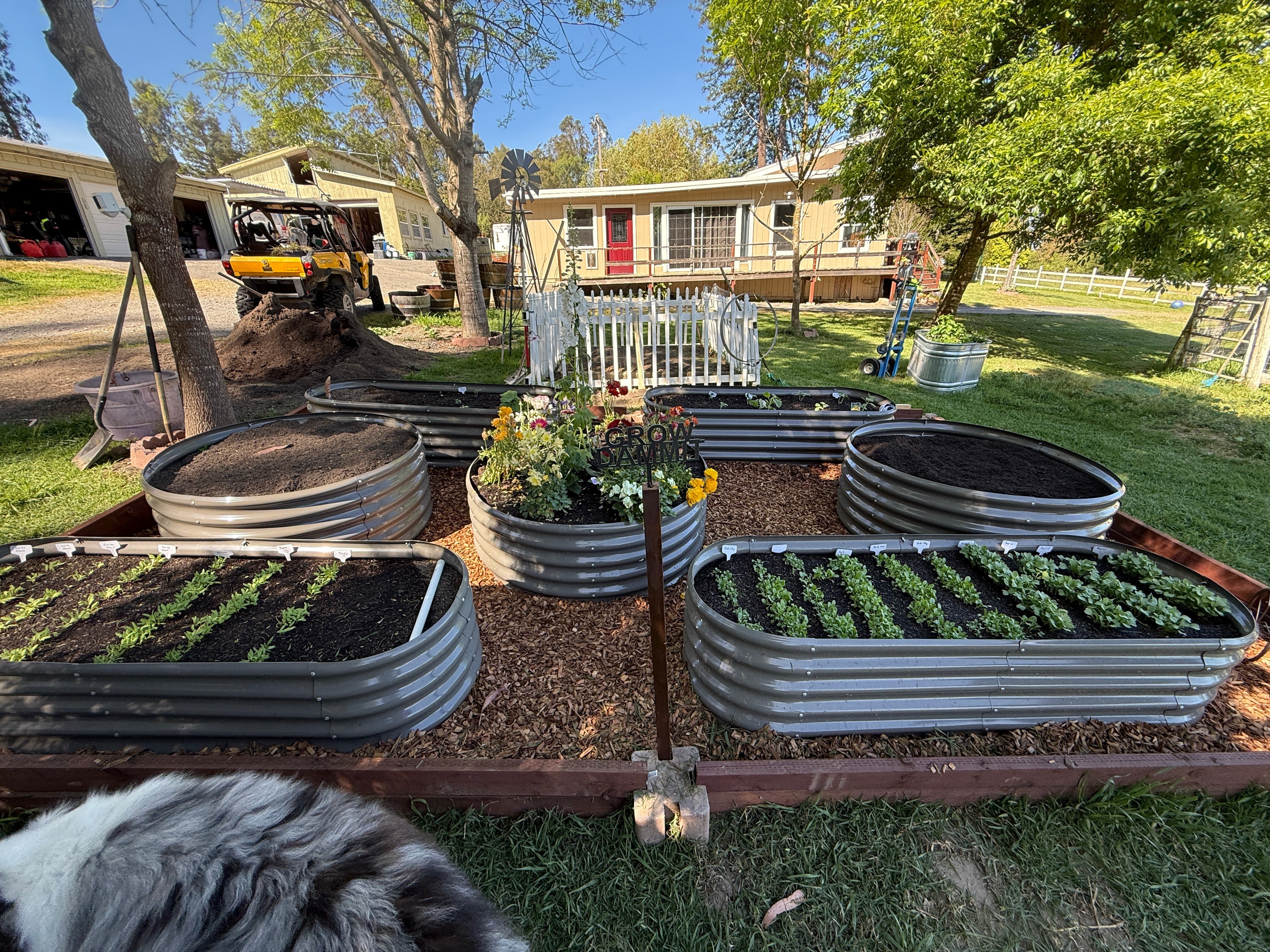Get to Know Raised Garden Bed