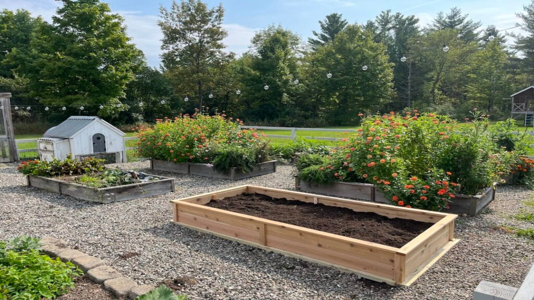 Build a Raised Garden Bed Easily