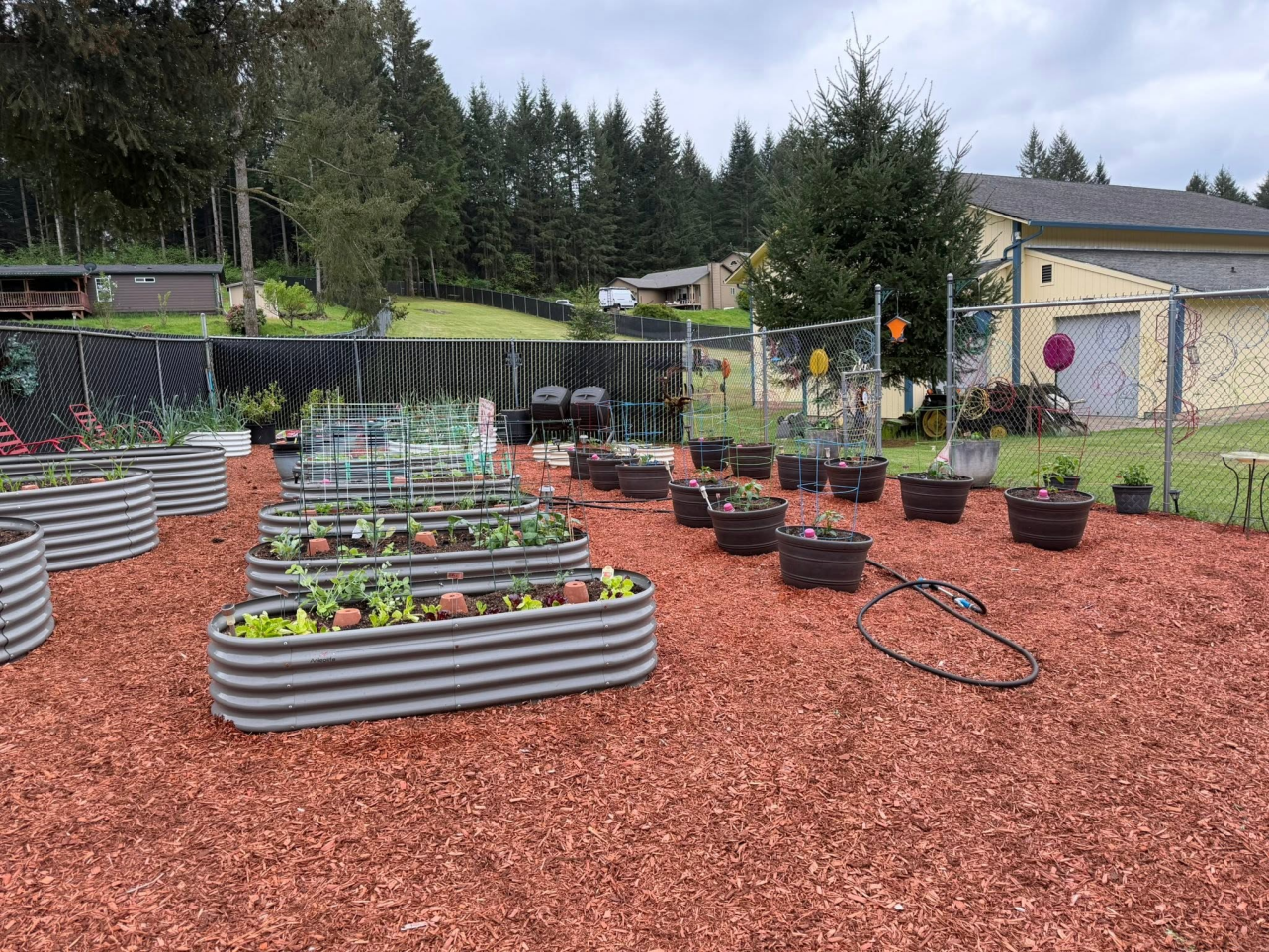 Why Raised Garden Beds Are 40% More Productive Than In-Ground Gardens