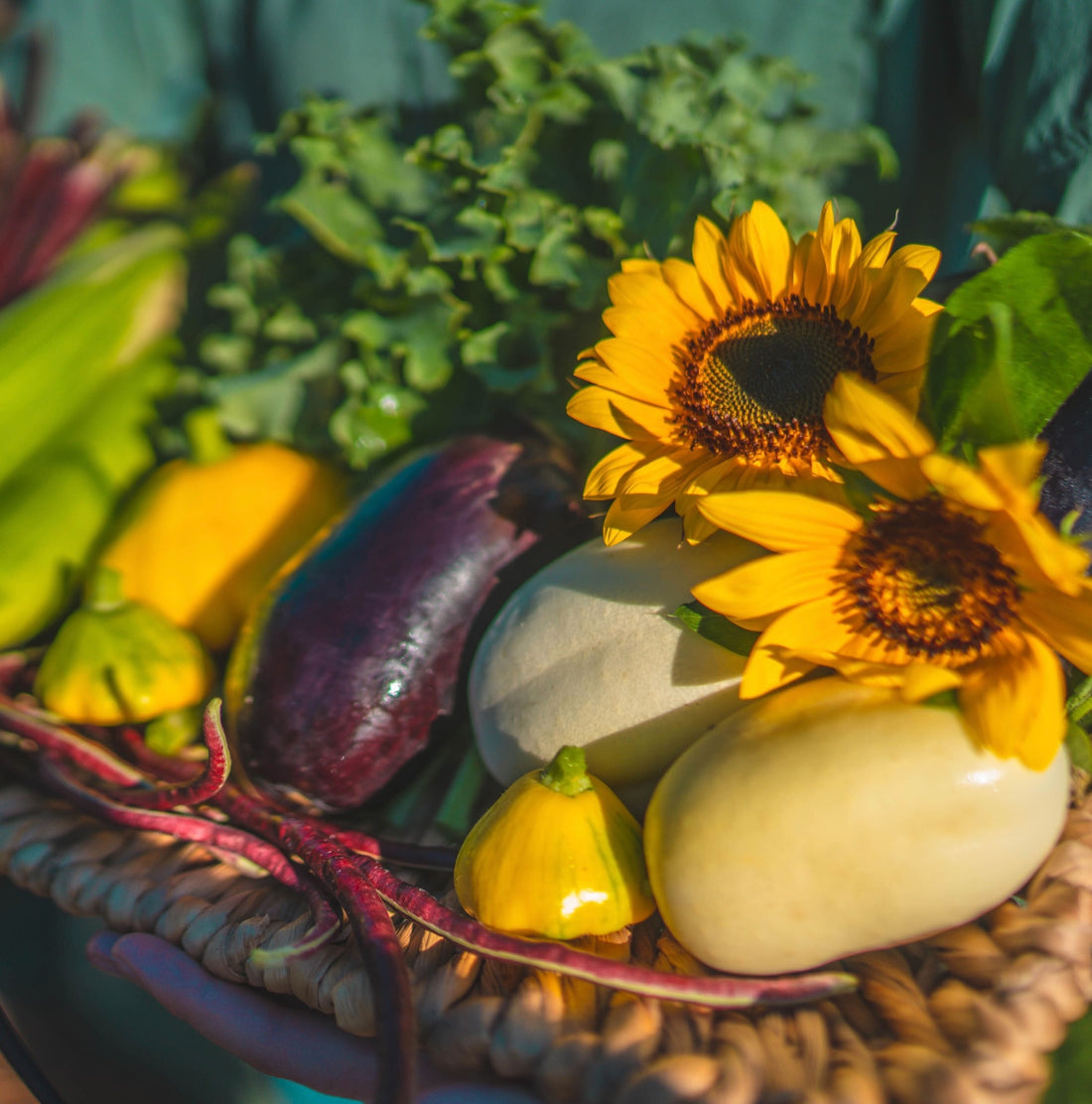 Anleolife Garden View: Do Metal Raised Garden Beds Get Too Hot To Hold Plants？