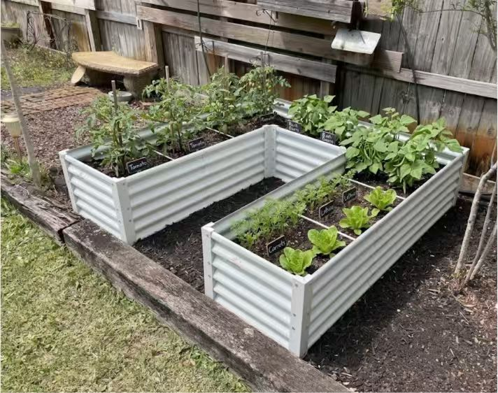 Companion Planting in Raised Beds: The Ultimate Layout Guide for 2026