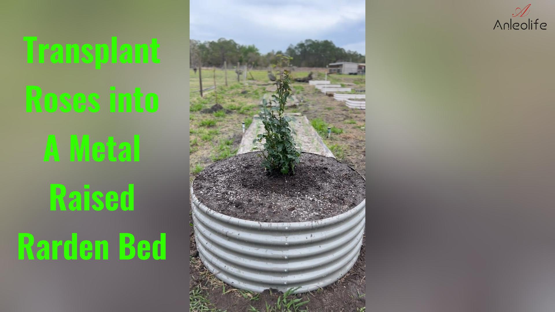 Anleolife 4x1.5ft Round Grey Raised Garden Bed  Review 01