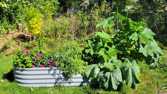 How to Determine If Your Raised Bed is Getting Enough Water