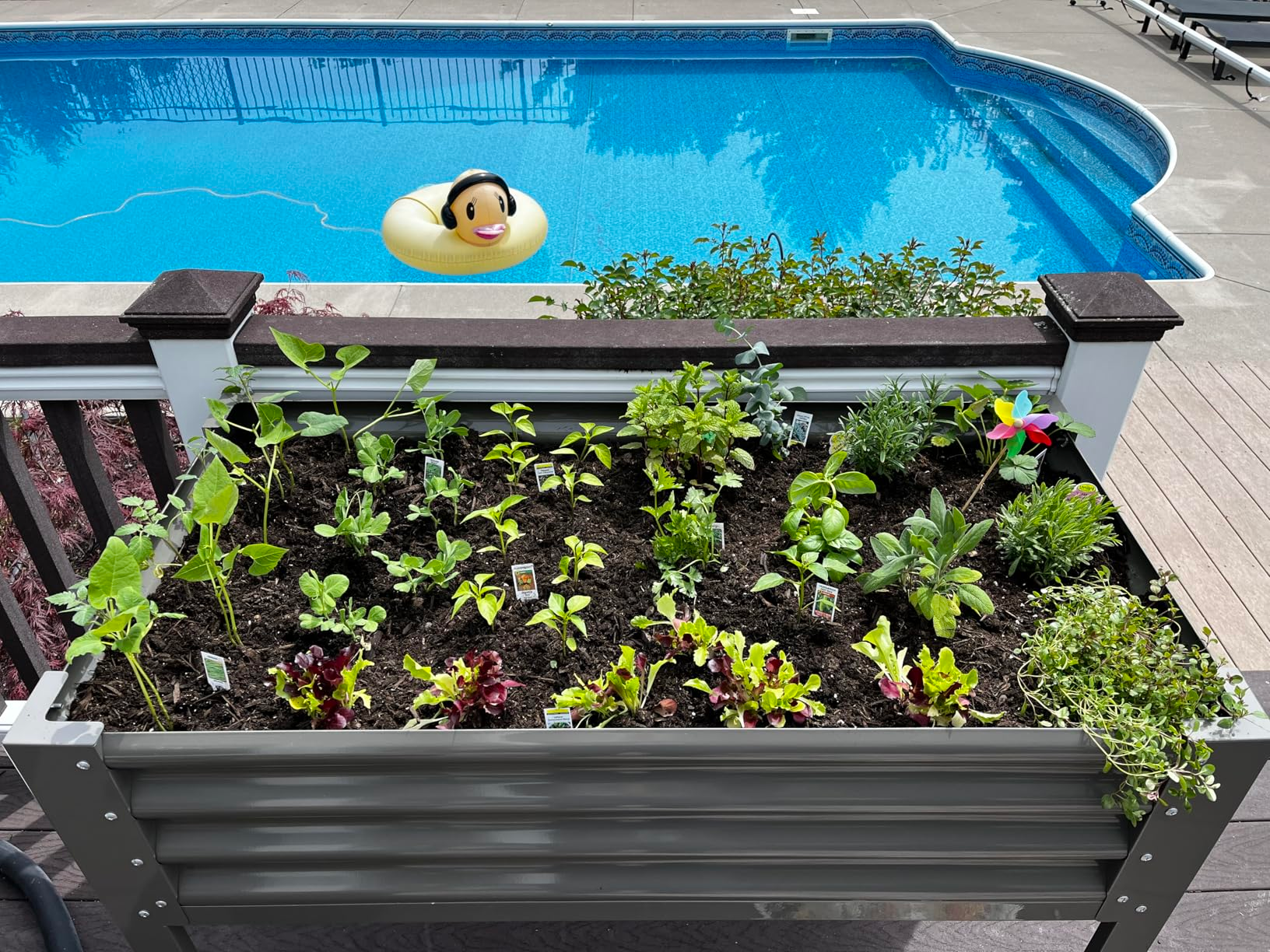 Raised Bed Gardening Beyond the Yard: Pool Decks, Patios, and Unconventional Spaces