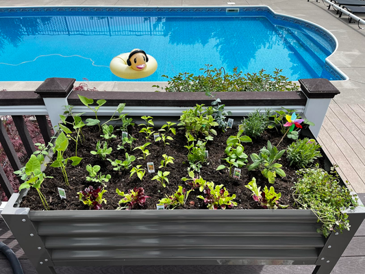 Raised Bed Gardening Beyond the Yard: Pool Decks, Patios, and Unconventional Spaces