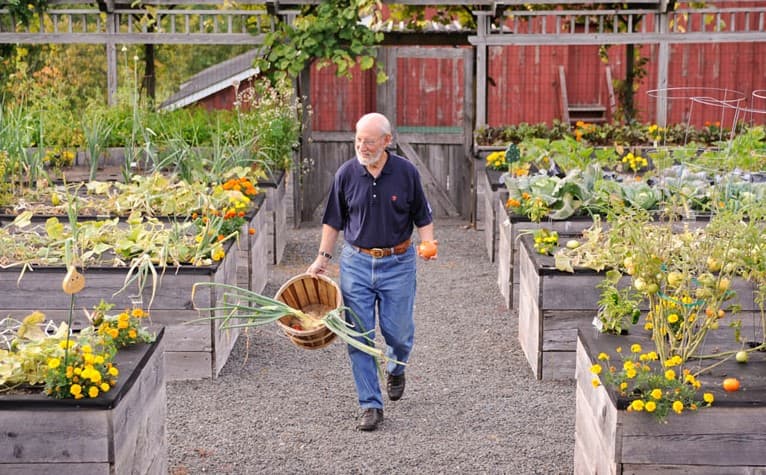  An older man carrying a basket