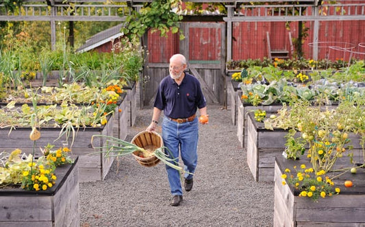  An older man carrying a basket