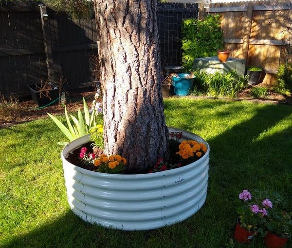 Can You Imagine Trees in Metal Raised Garden Beds?