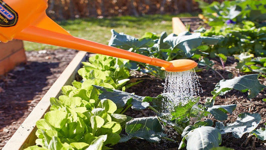 Ultimate Guide to Watering Your Raised Garden Bed