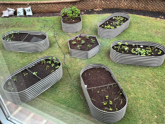 How to Design a Multi-Bed Raised Garden Layout: Shapes, Spacing, and Season Extension
