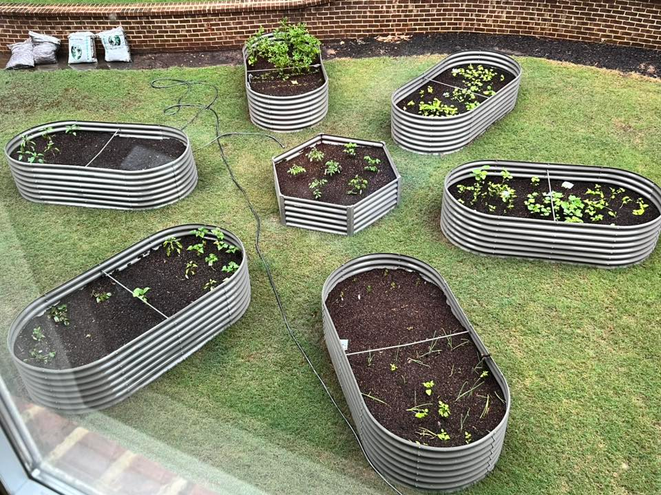 How to Design a Multi-Bed Raised Garden Layout: Shapes, Spacing, and Season Extension