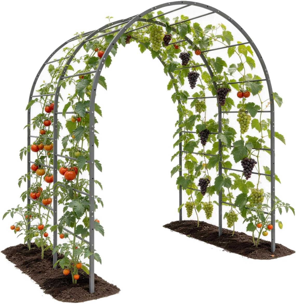 Different Kinds of Mulch You Can Use in Your Garden