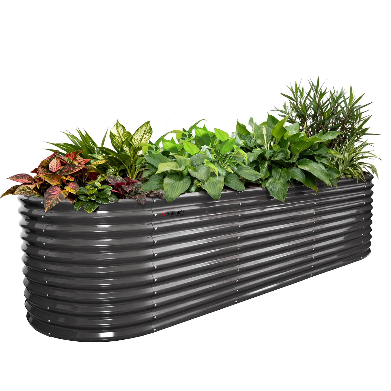 Anleolife Garden View: So Wonderful to Grow Herbs in Raised Beds for Gardeners(I)