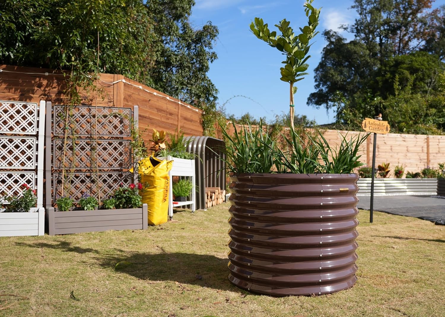 10 Best Easy-to-GrowVegetables in a Hot Summer (for Raised Garden Beds)