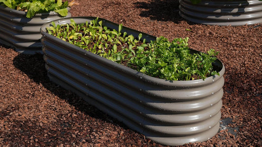 Good Bugs for a Healthy Raised Garden Bed