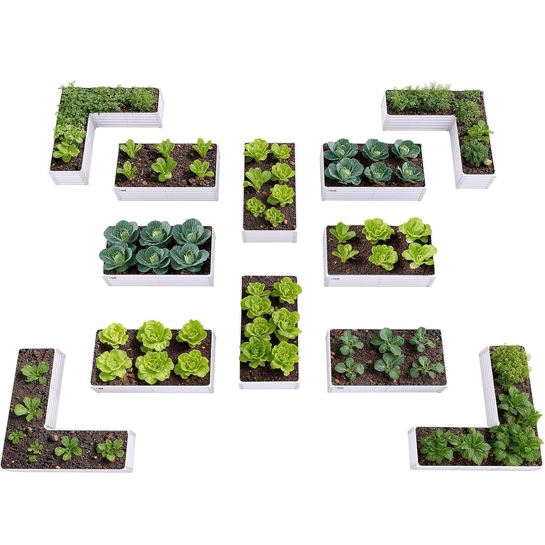 How to Maximize Your Growing Space with A Raised Garden Bed?