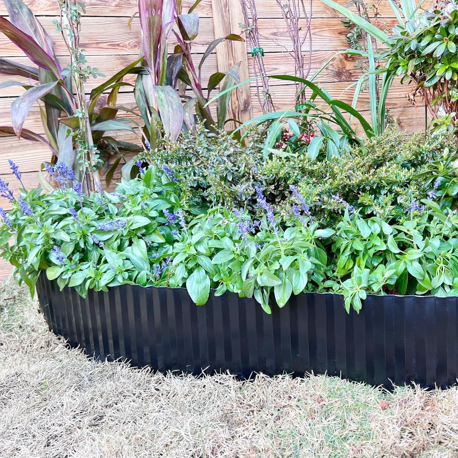 How to Protect Your Raised Bed from Pests