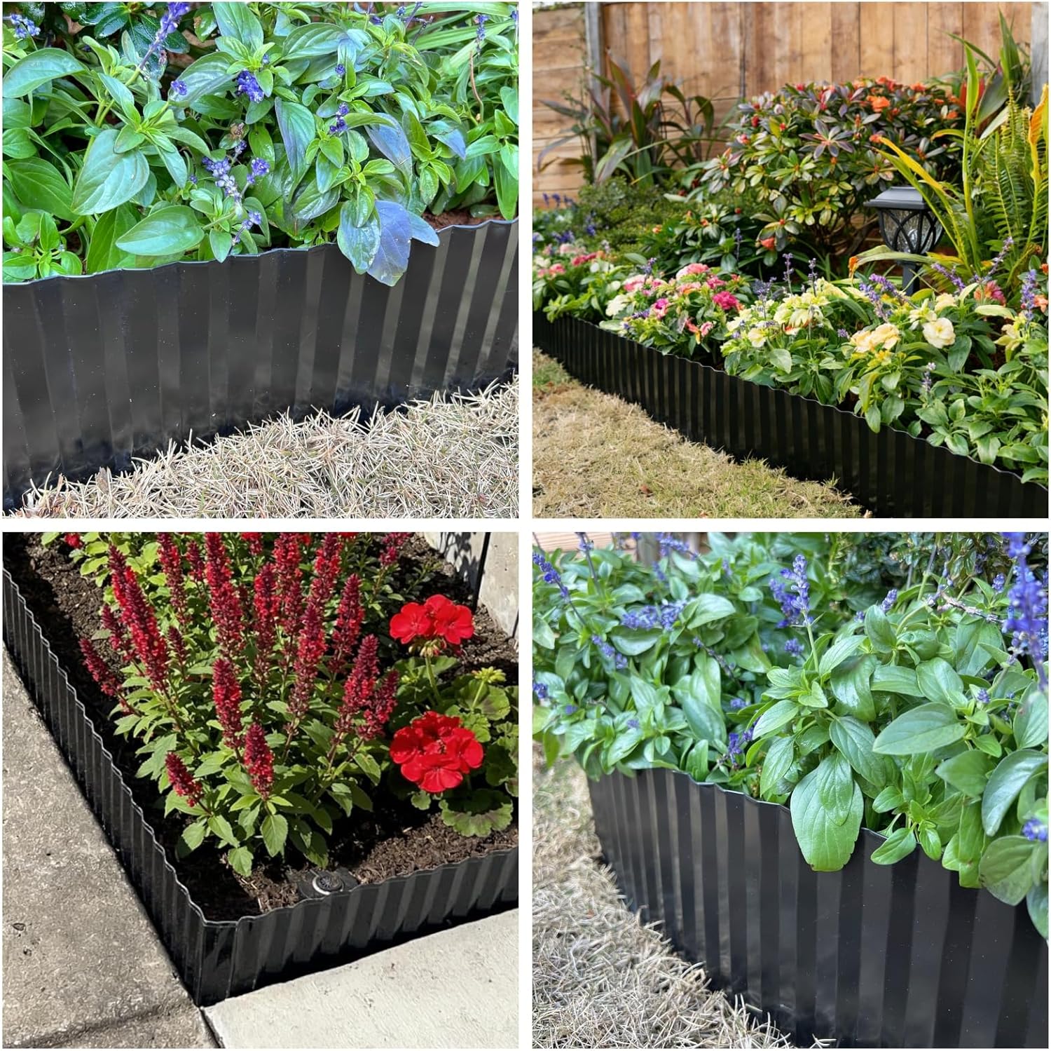 Raised Beds: Fastest-Maturing Vegetables to Grow
