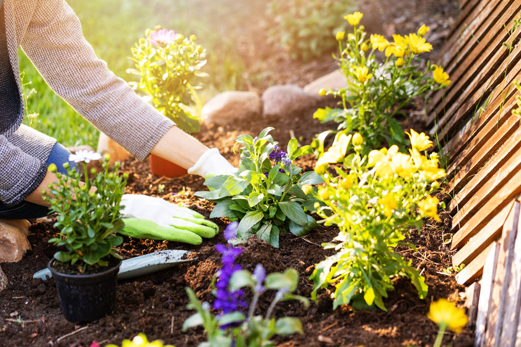 Anleolife Garden View: Get Your Raised Beds Ready for Spring Planting(II)