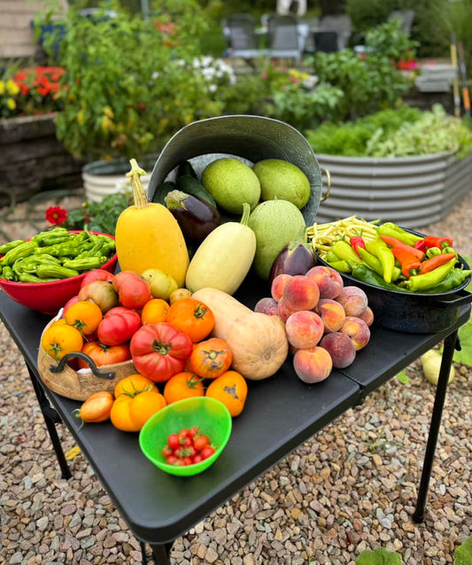 Fall Crops: Preparing the Seeds