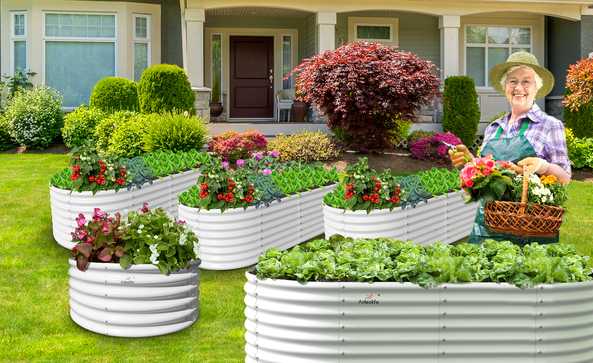 Metal Raised Garden Beds Vs Wood Raised Garden Beds