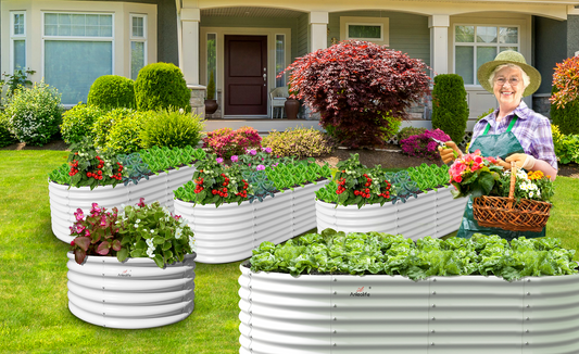 Metal Raised Garden Beds Vs Wood Raised Garden Beds