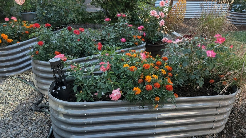 11 Best Gardening Tools Ignored by Most Gardeners