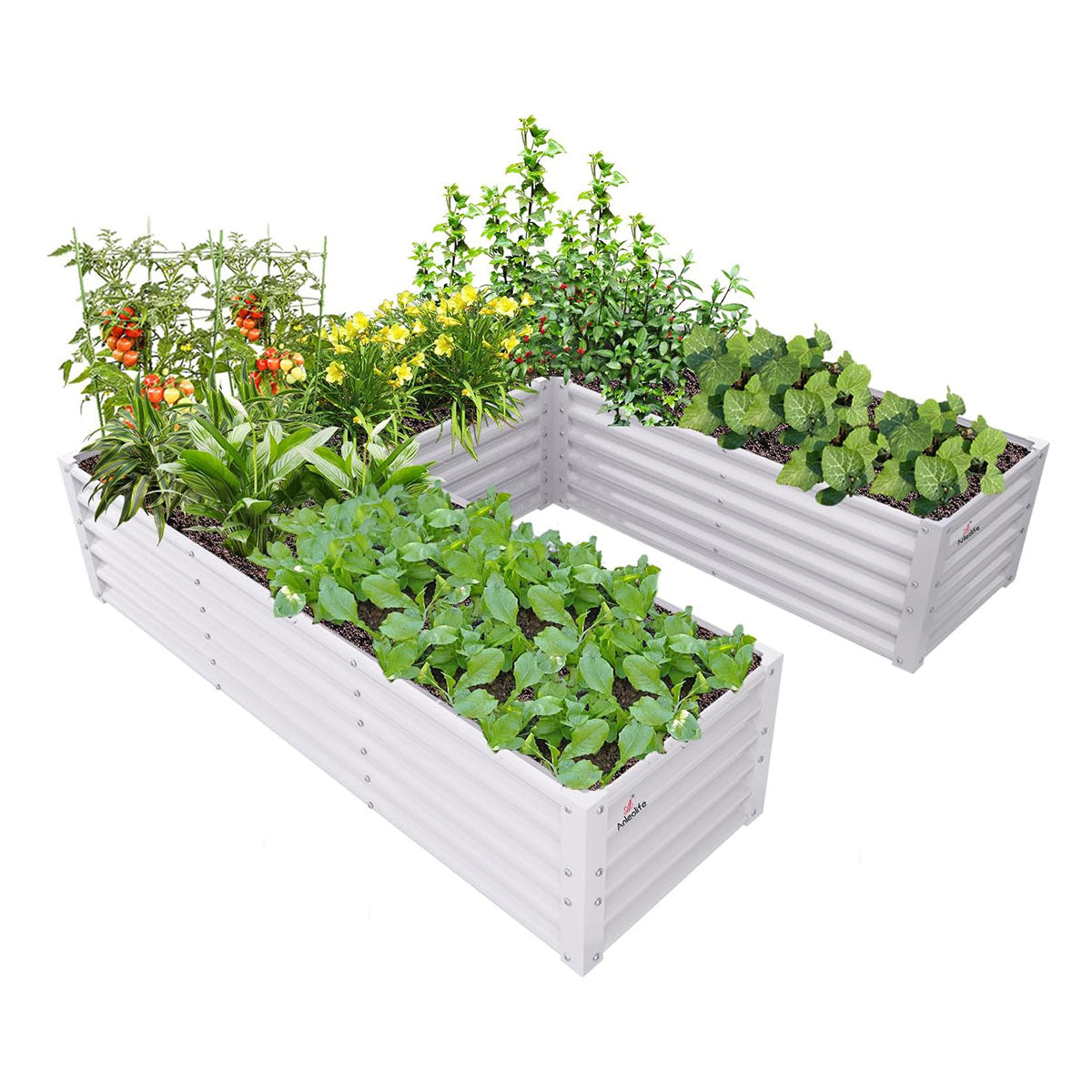 74''x74''x18'' U-shaped Galvanized Steel Raised Garden Bed - Classic White