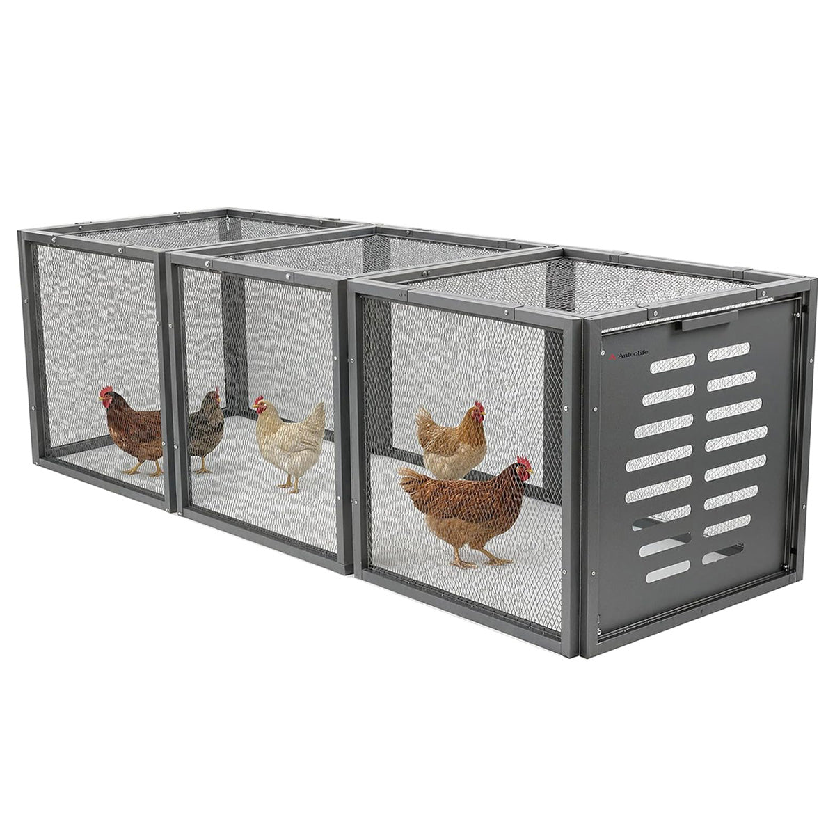 20.8"  Modular  Chicken Run Extension for Coops – Outdoor Metal Chicken Tunnel