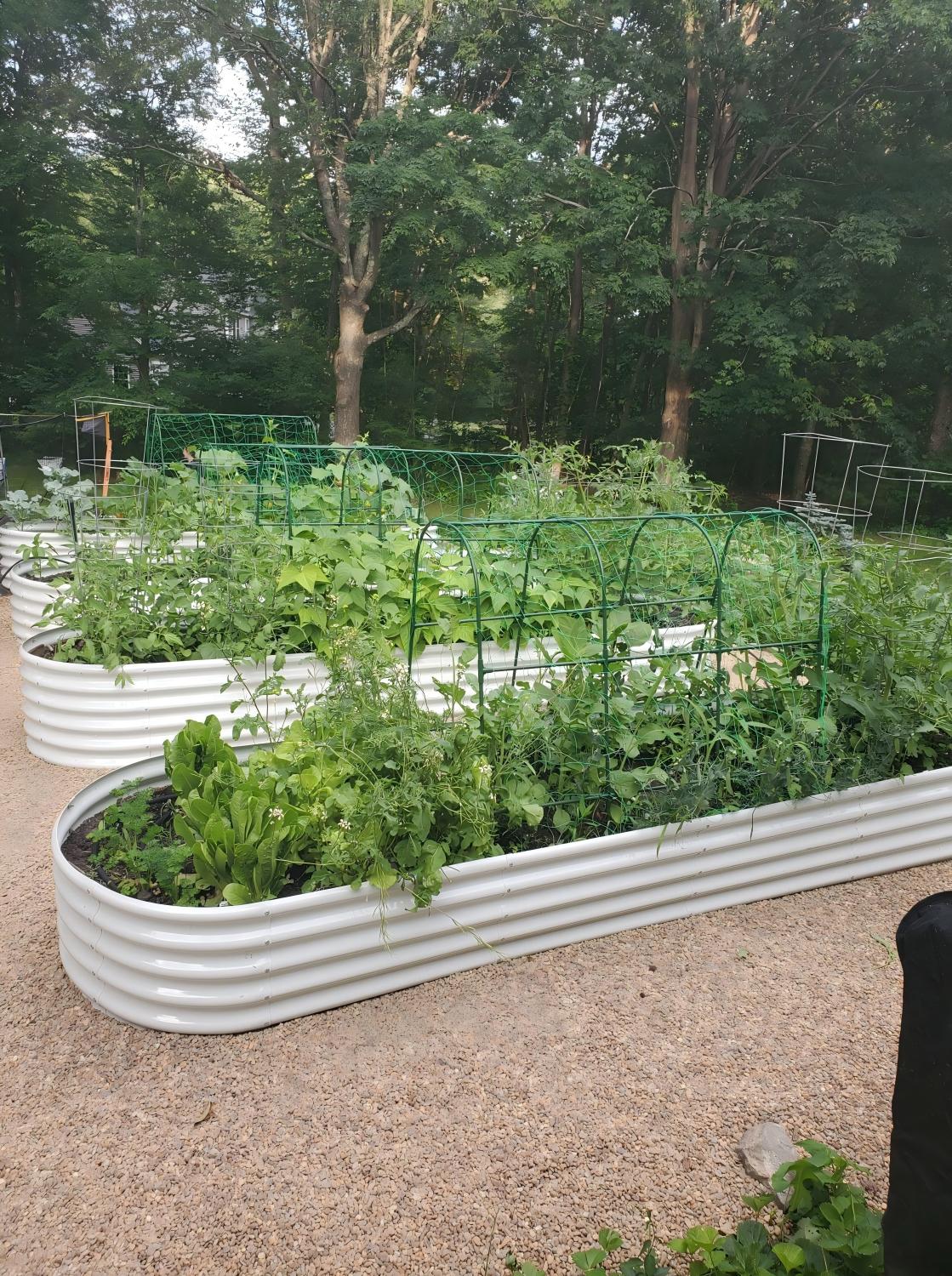 Set of 6: 12x3x1.5ft Oval Modular Metal Raised Garden Bed (Classic White)